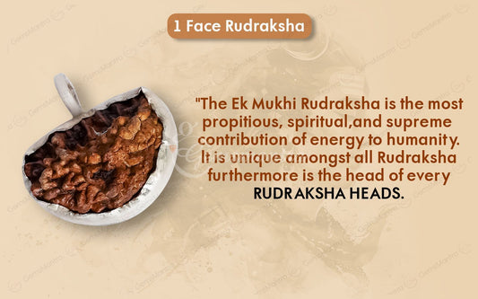 1 Mukhi (Ek Mukhi) Rudraksha – Indian, Silver Pendant