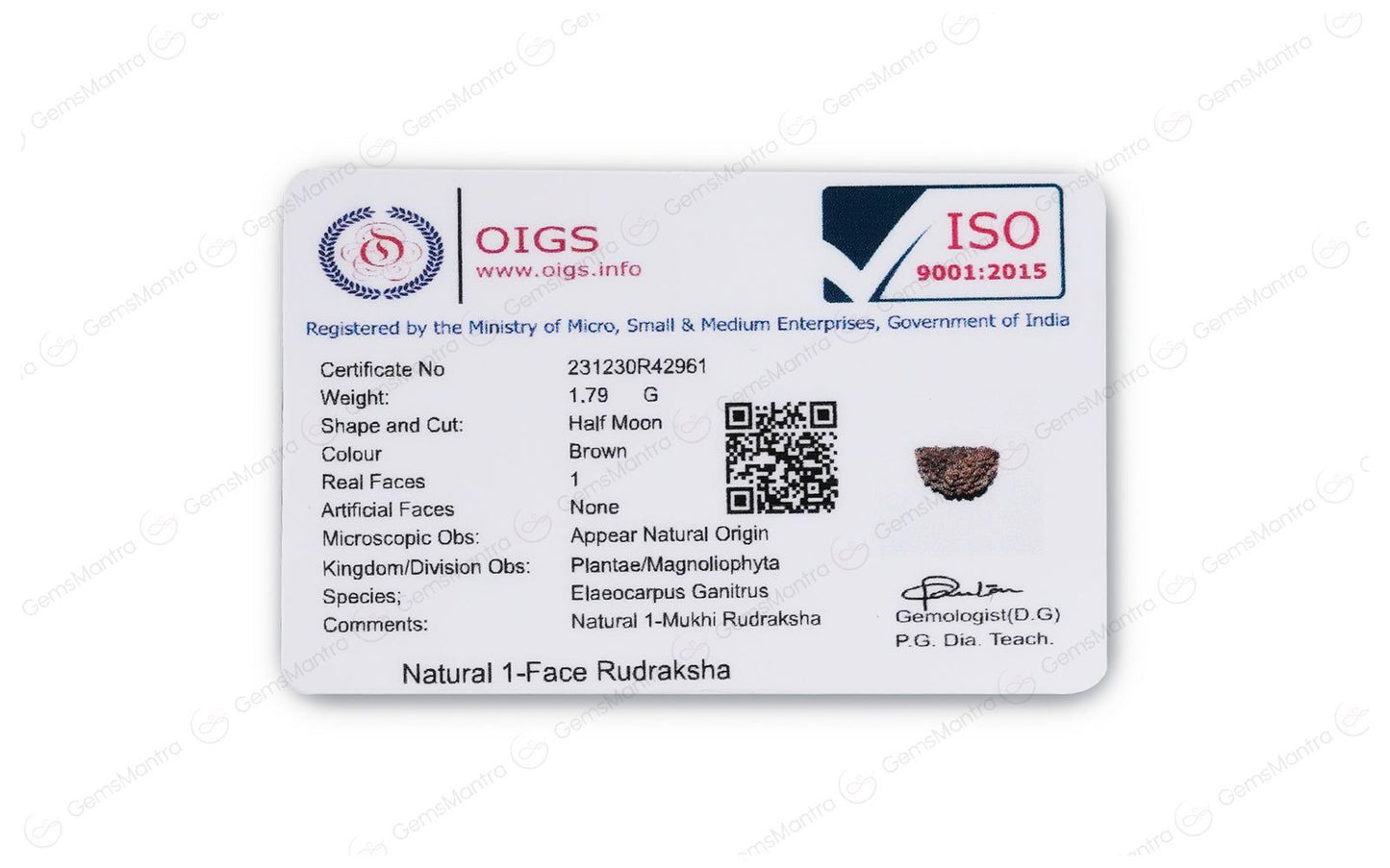 1 Mukhi (Ek Mukhi) Rudraksha – Indian, Silver Pendant