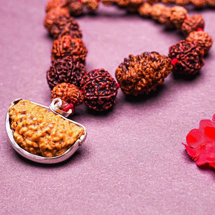 Siddha Mala – 1–14 Mukhi Indonesian Rudraksha Beads