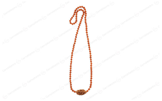 Shiva Sankalp Mala – 1 Mukhi Rudraksha