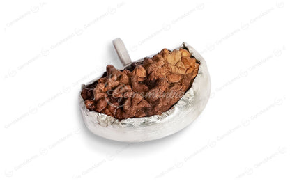 1 Mukhi (Ek Mukhi) Rudraksha – Indian, Silver Pendant