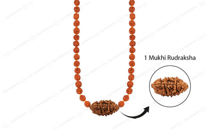 Shiva Sankalp Mala – 1 Mukhi Rudraksha