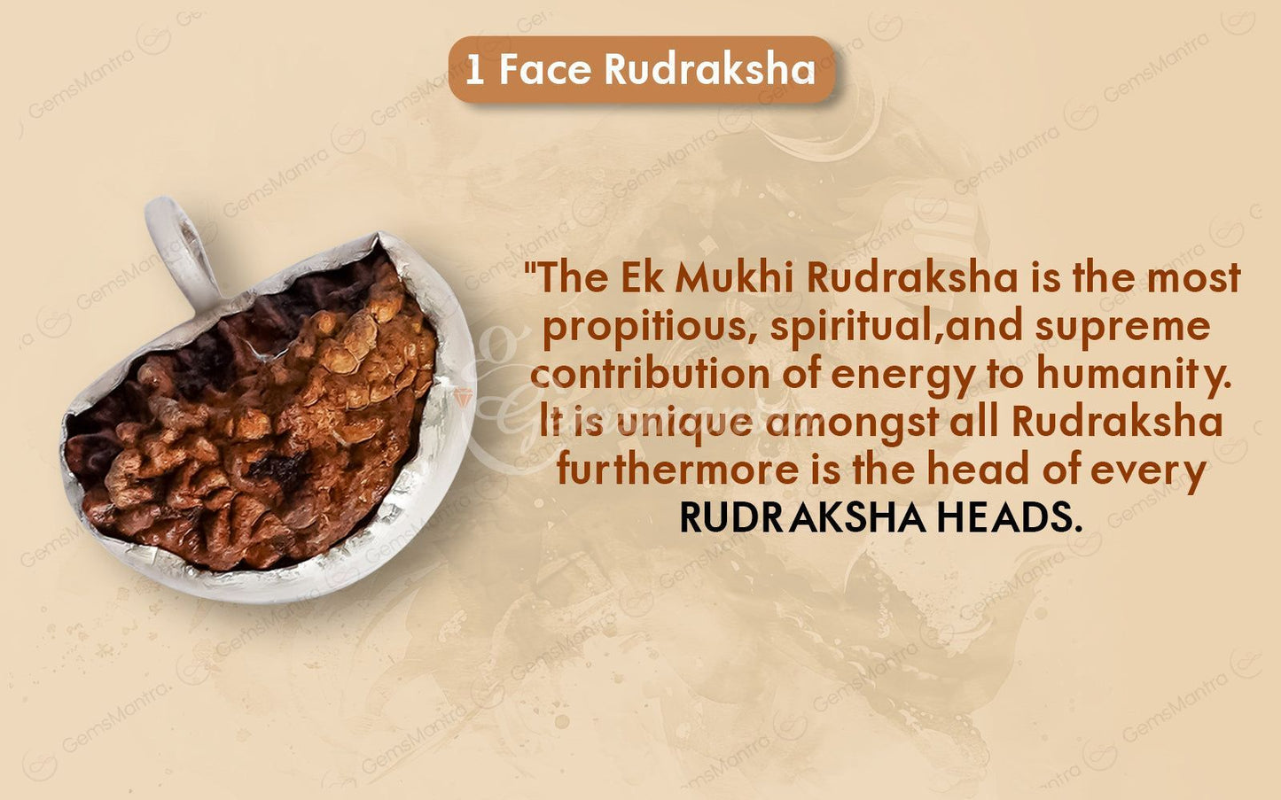 1 Mukhi (Ek Mukhi) Rudraksha – Indian, Silver Pendant