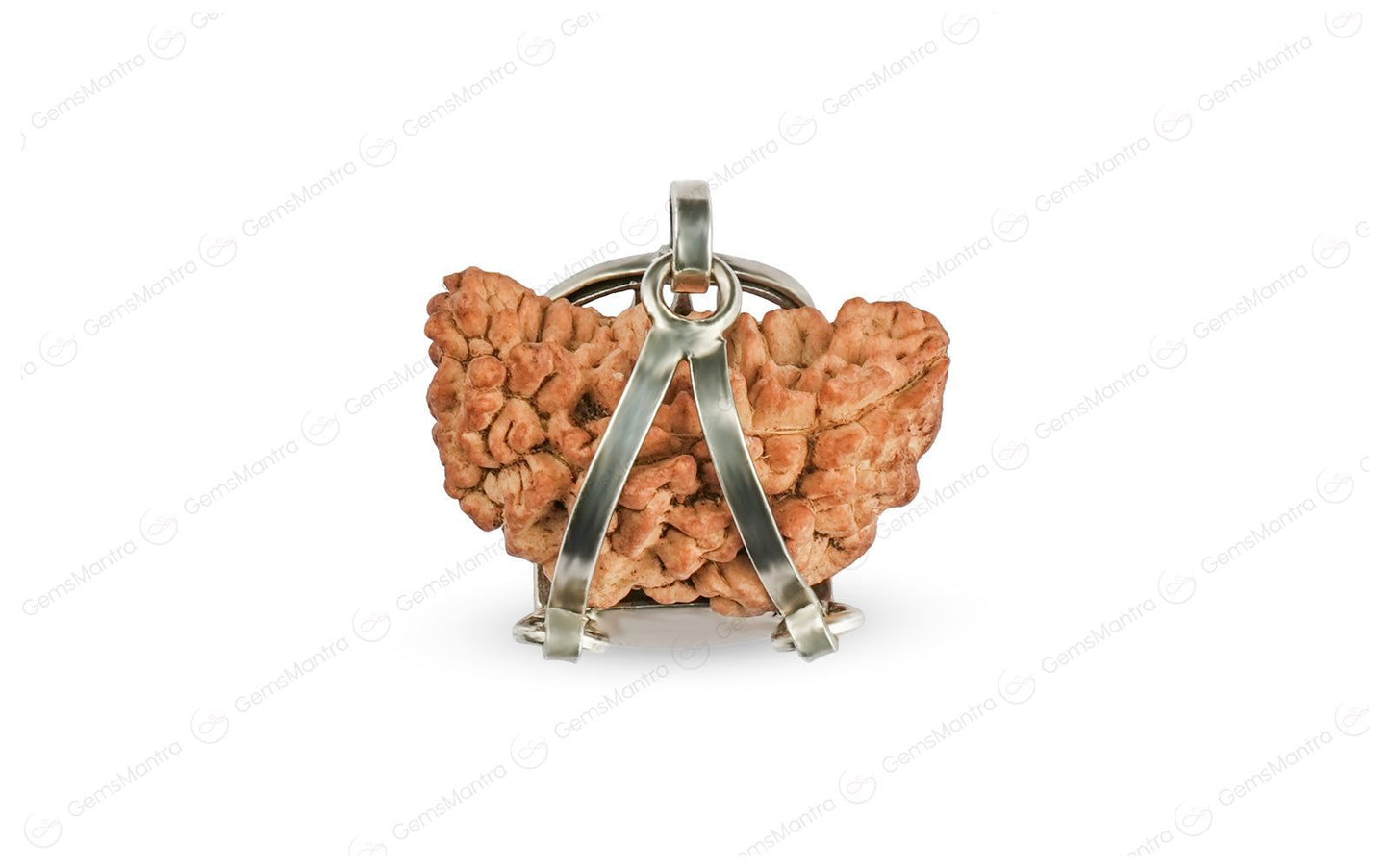 1 Mukhi Rudraksha Silver Pendant – Trishul Design