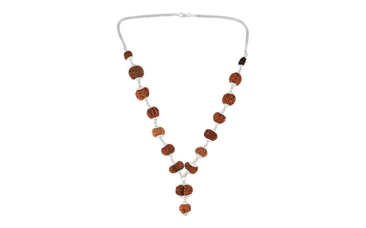 1-14 Mukhi Rudraksha Mala (Siddha Mala)